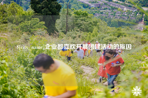 塔城企业都喜欢开展团建活动的原因